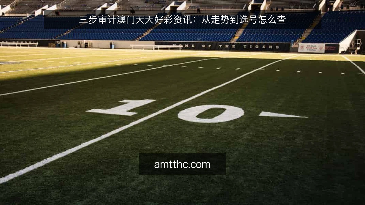 三步审计澳门天天好彩资讯:从走势到选号怎么查