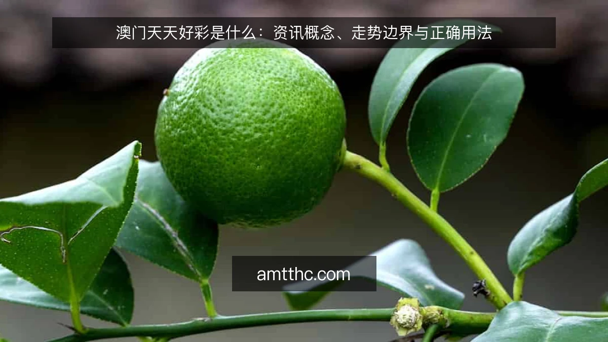 澳门天天好彩是什么：资讯概念、走势边界与正确用法