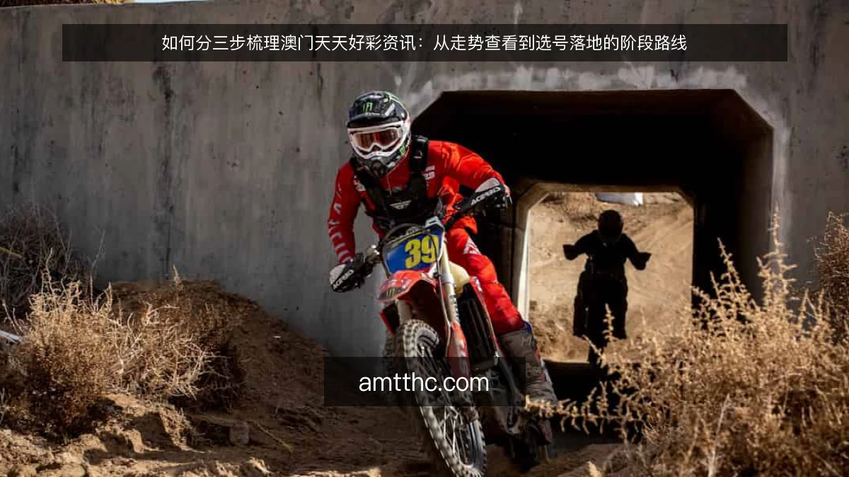 如何分三步梳理澳门天天好彩资讯：从走势查看到选号落地的阶段路线