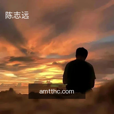 陈志远